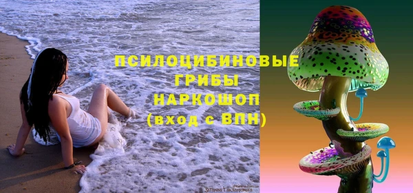 гидра Покачи